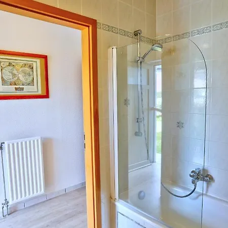 Du Vieux Cedre, Enghien-belgique