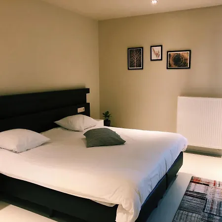 Du Vieux Cedre, Enghien-belgique 4* 昂吉安