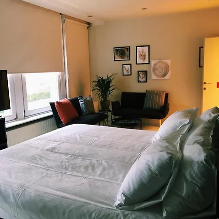 מלון Du Vieux Cedre, Enghien-belgique 4*