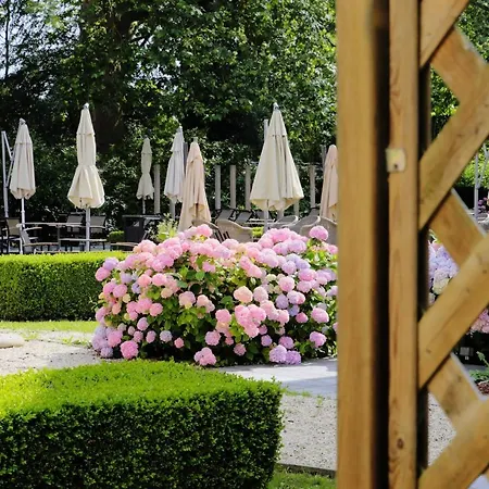 Du Vieux Cedre Hotel Enghien