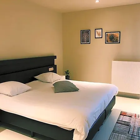 Du Vieux Cedre, Enghien-belgique מלון 4*
