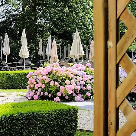 Du Vieux Cedre, Enghien-belgique 4* אנגהיין