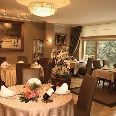 Du Vieux Cedre, Enghien-belgique