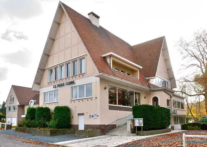 Du Vieux Cedre, Enghien-belgique