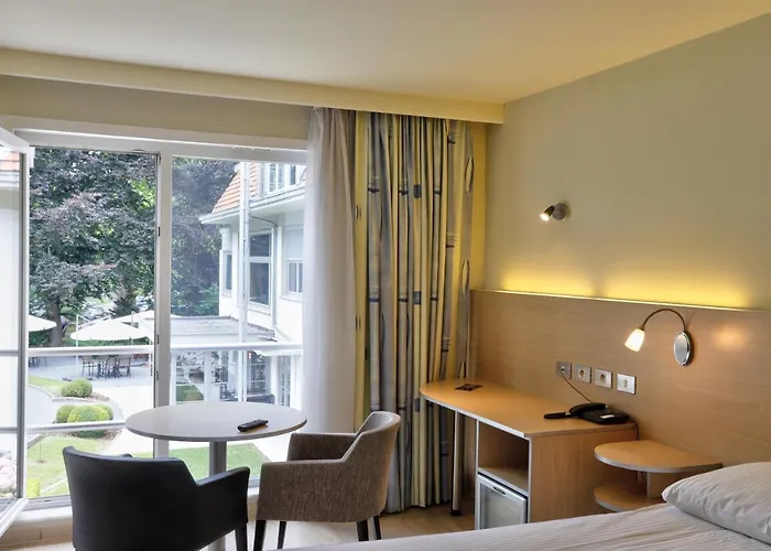 Du Vieux Cedre, Enghien-belgique