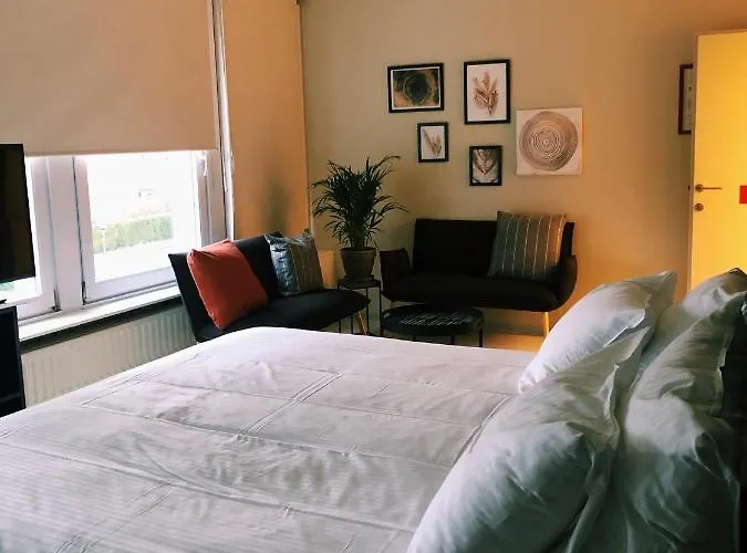Hotel Du Vieux Cedre, Enghien-belgique 4*