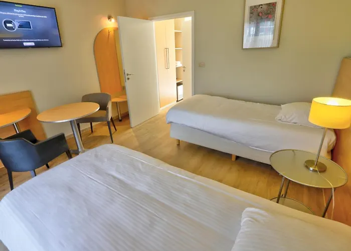 Hotel Du Vieux Cedre, Enghien-belgique