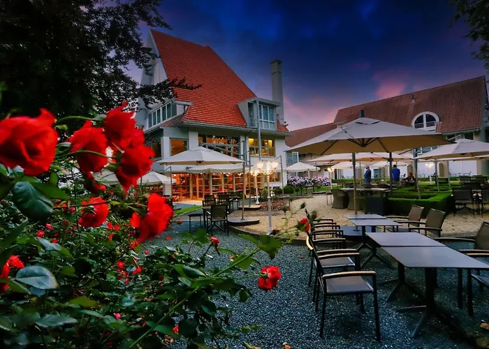 Du Vieux Cedre, Enghien-belgique