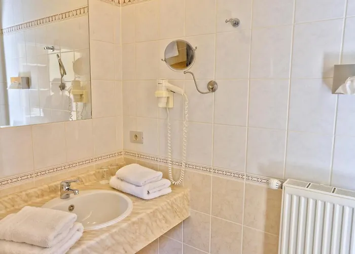 Du Vieux Cedre, Enghien-belgique