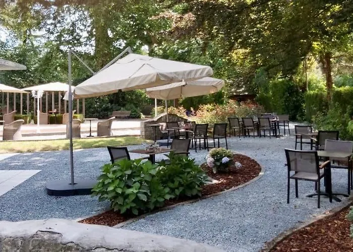 Du Vieux Cedre, Enghien-belgique