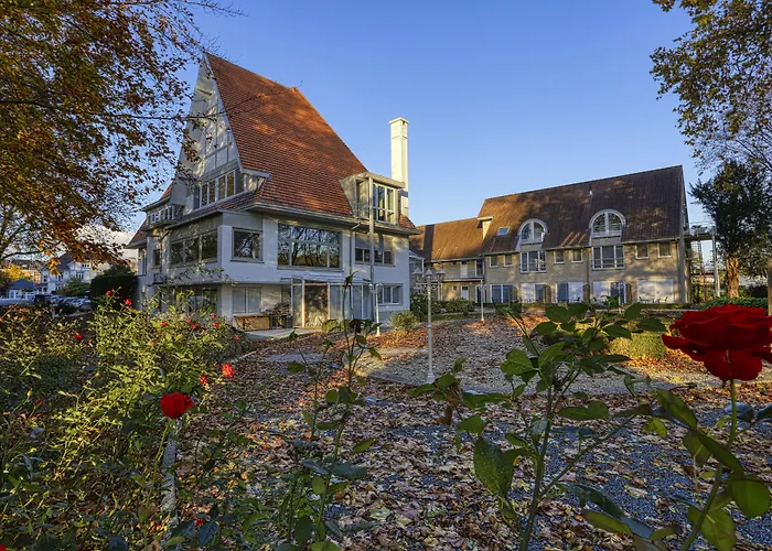 Du Vieux Cedre, Enghien-belgique Enghien