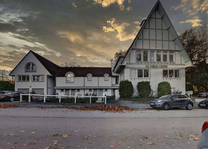 Hotel Du Vieux Cedre, Enghien-belgique