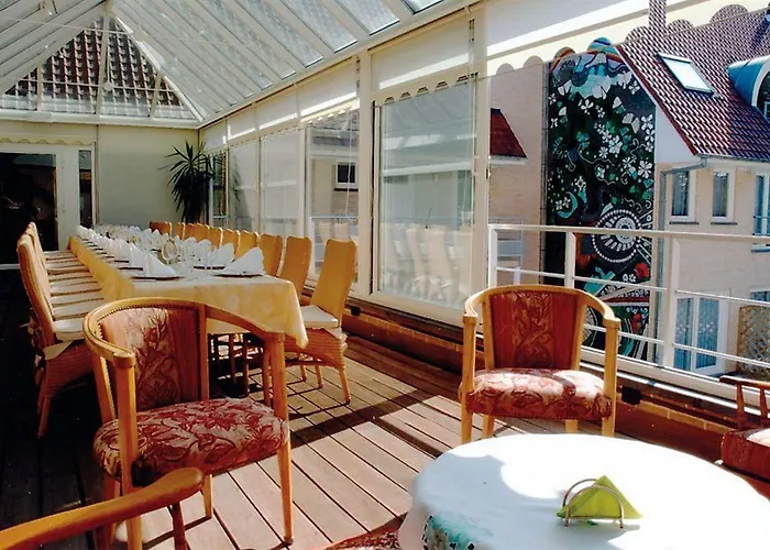 Du Vieux Cedre, Enghien-belgique