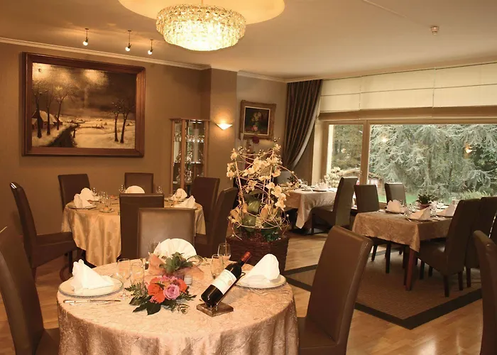 Du Vieux Cedre, Enghien-belgique