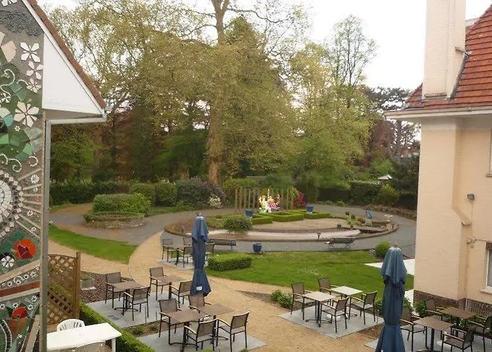 Du Vieux Cedre, Enghien-belgique